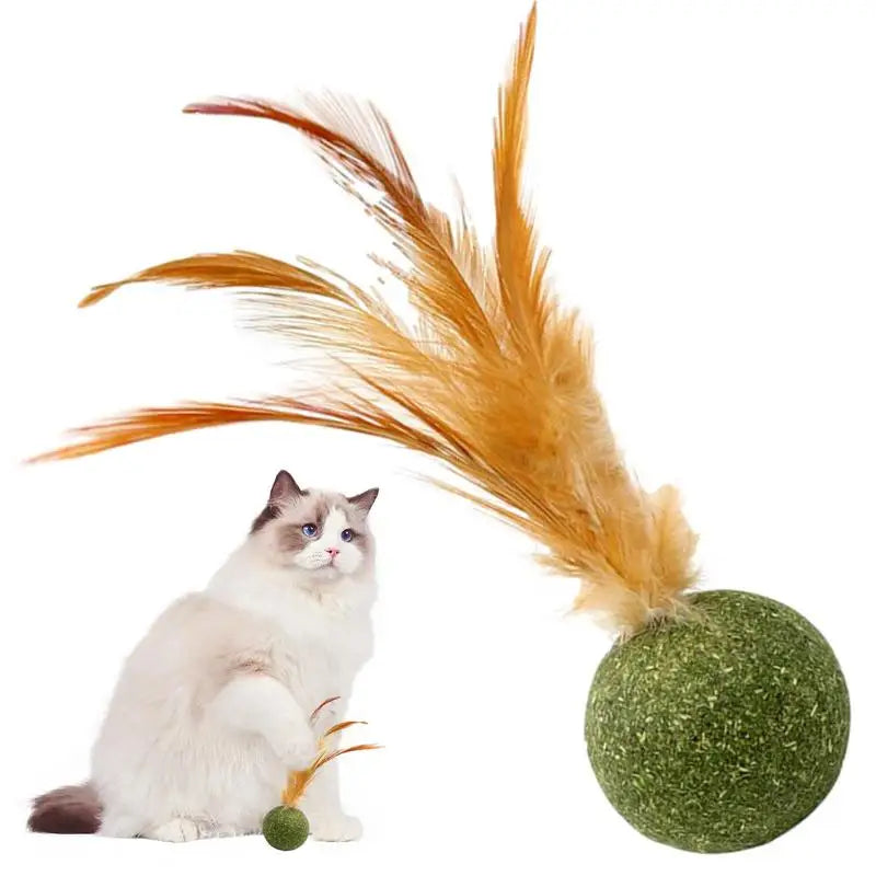 Cat Toy Feather Ball