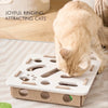 Cat Fun Box