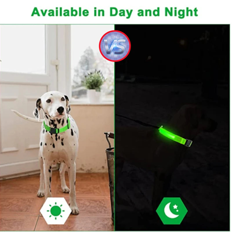 Luminous Collar