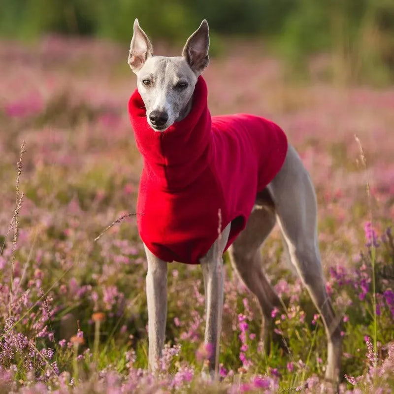 Winter Fleece Italian Greyhound Vest
