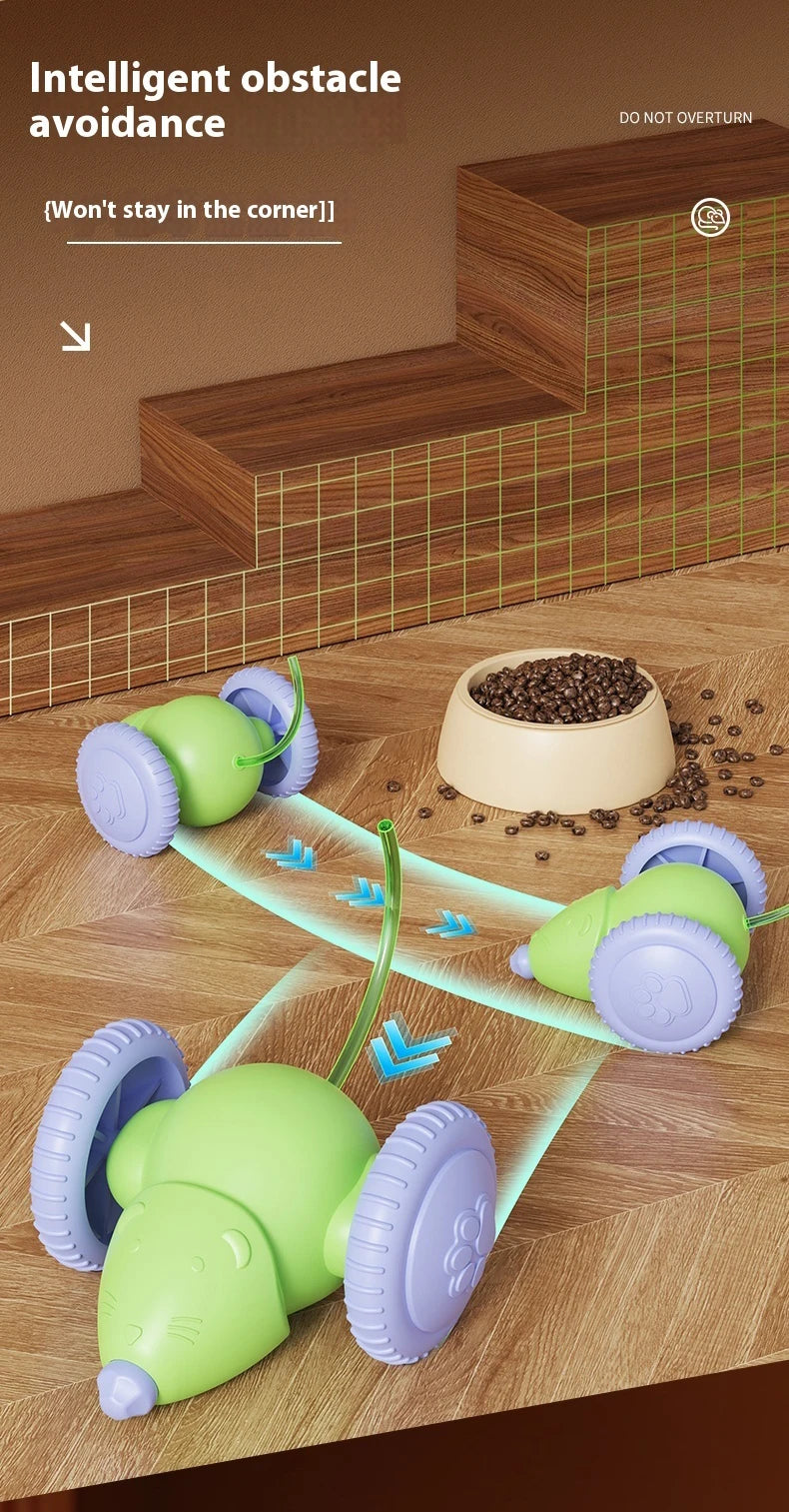 Electric Mouse Car