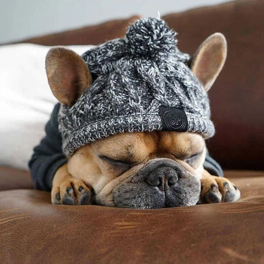 Windproof Hat