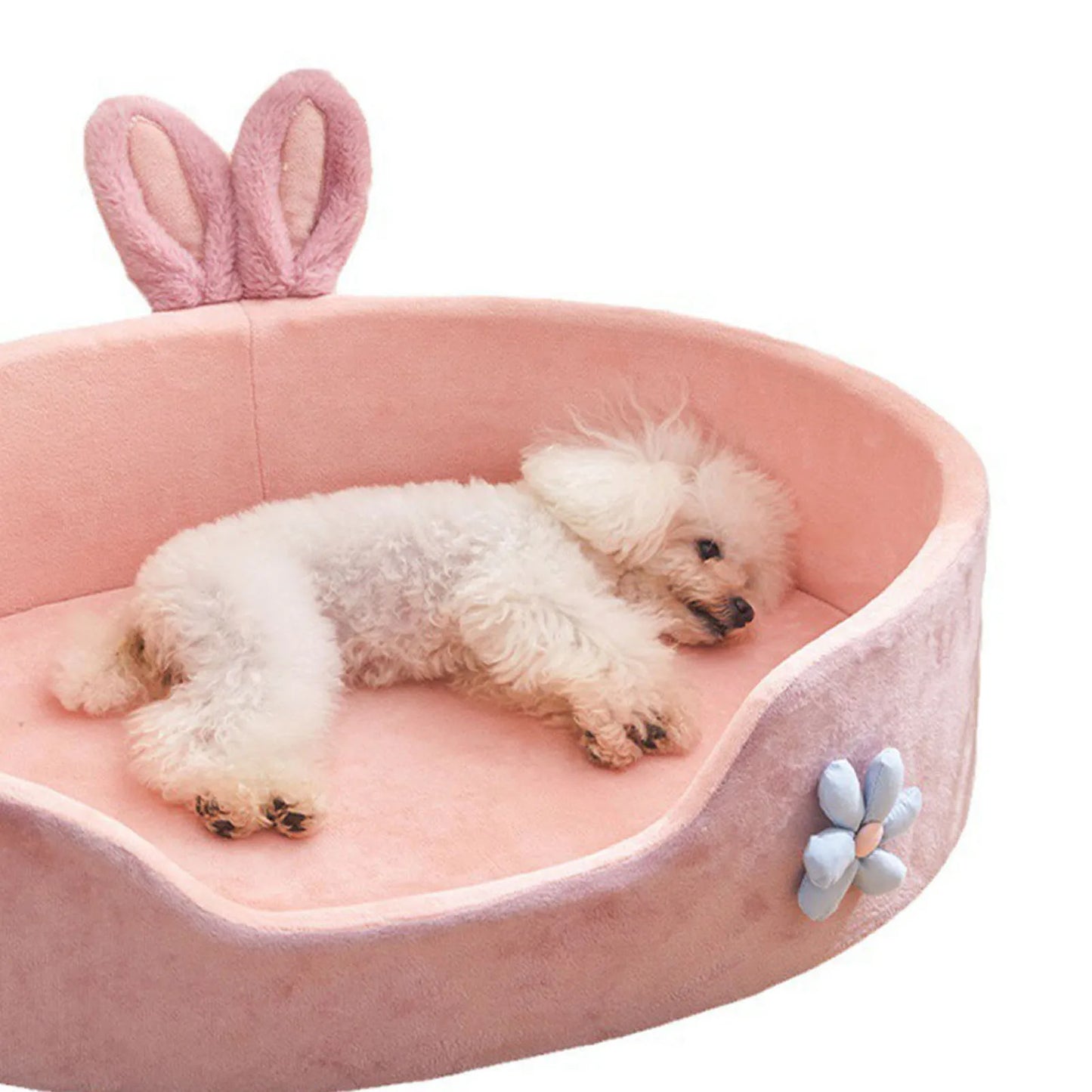 Soft And Comfortable Warm Bed