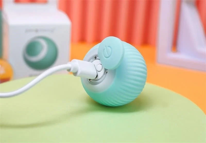 Smart Puppy Ball Toy