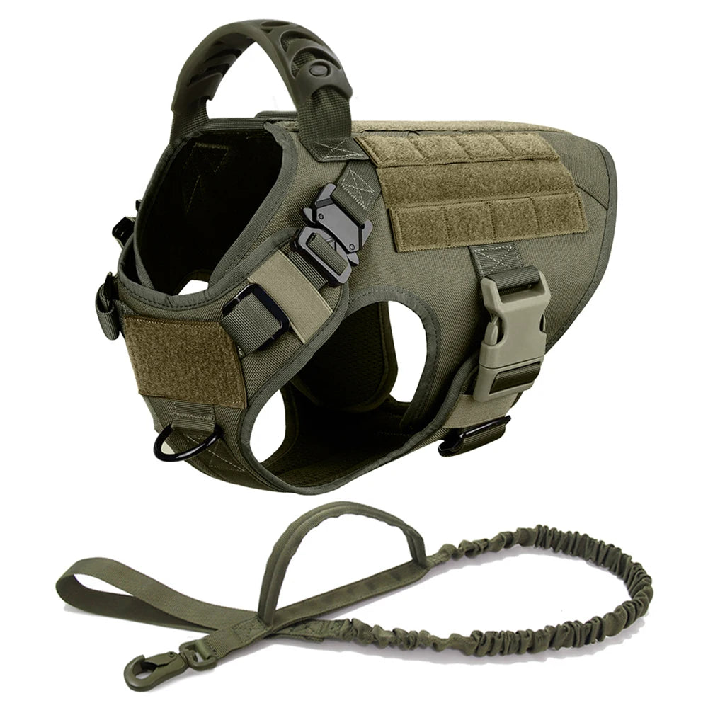Large Dog Harness Collar Leash