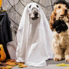 Halloween Ghost Cloak Spooky Dog Cosplay Costume