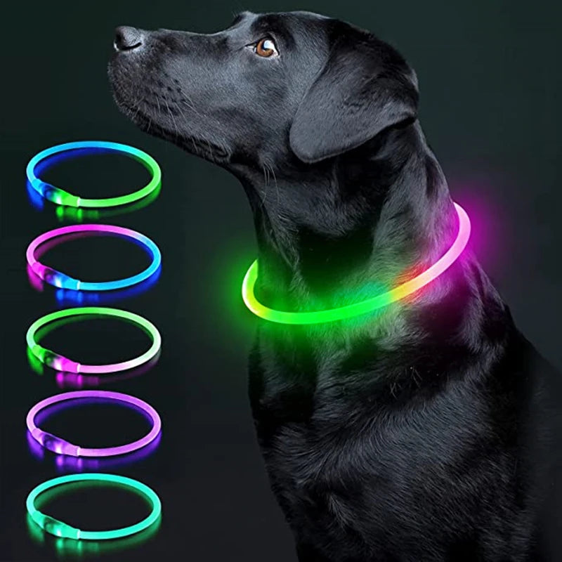 Luminous Collar