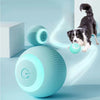 Smart Puppy Ball Toy