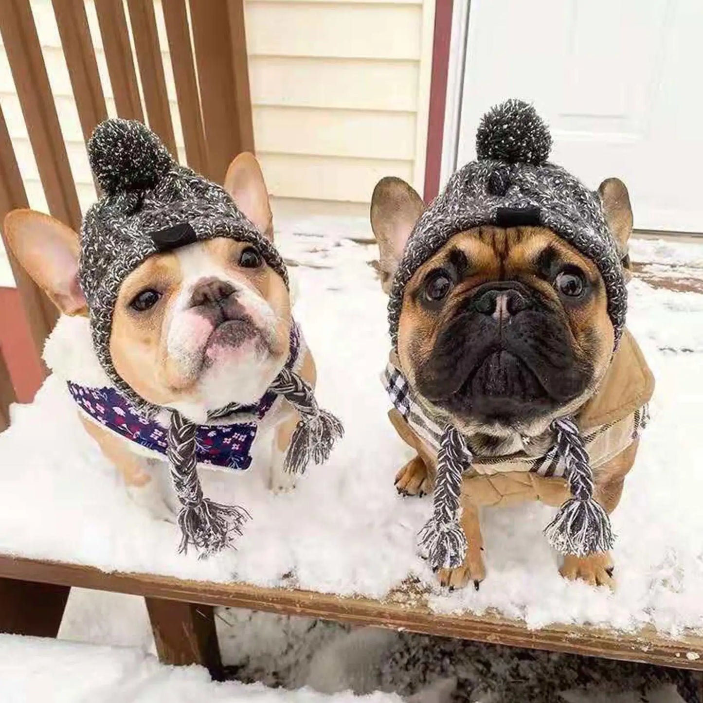 Windproof Hat