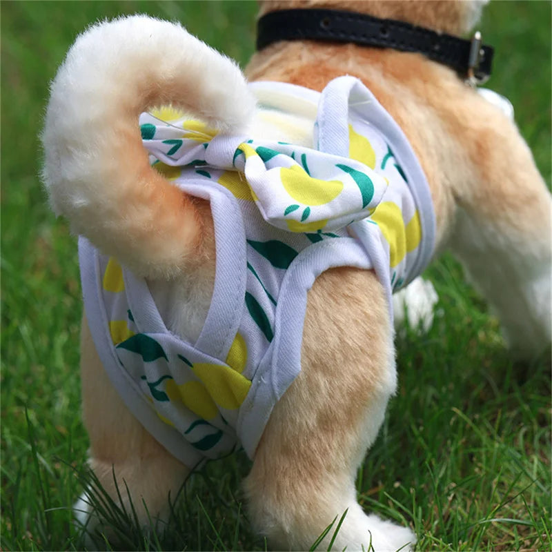 Reusable Diaper Pants