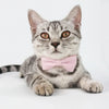 Cute Cat Collar with Bow