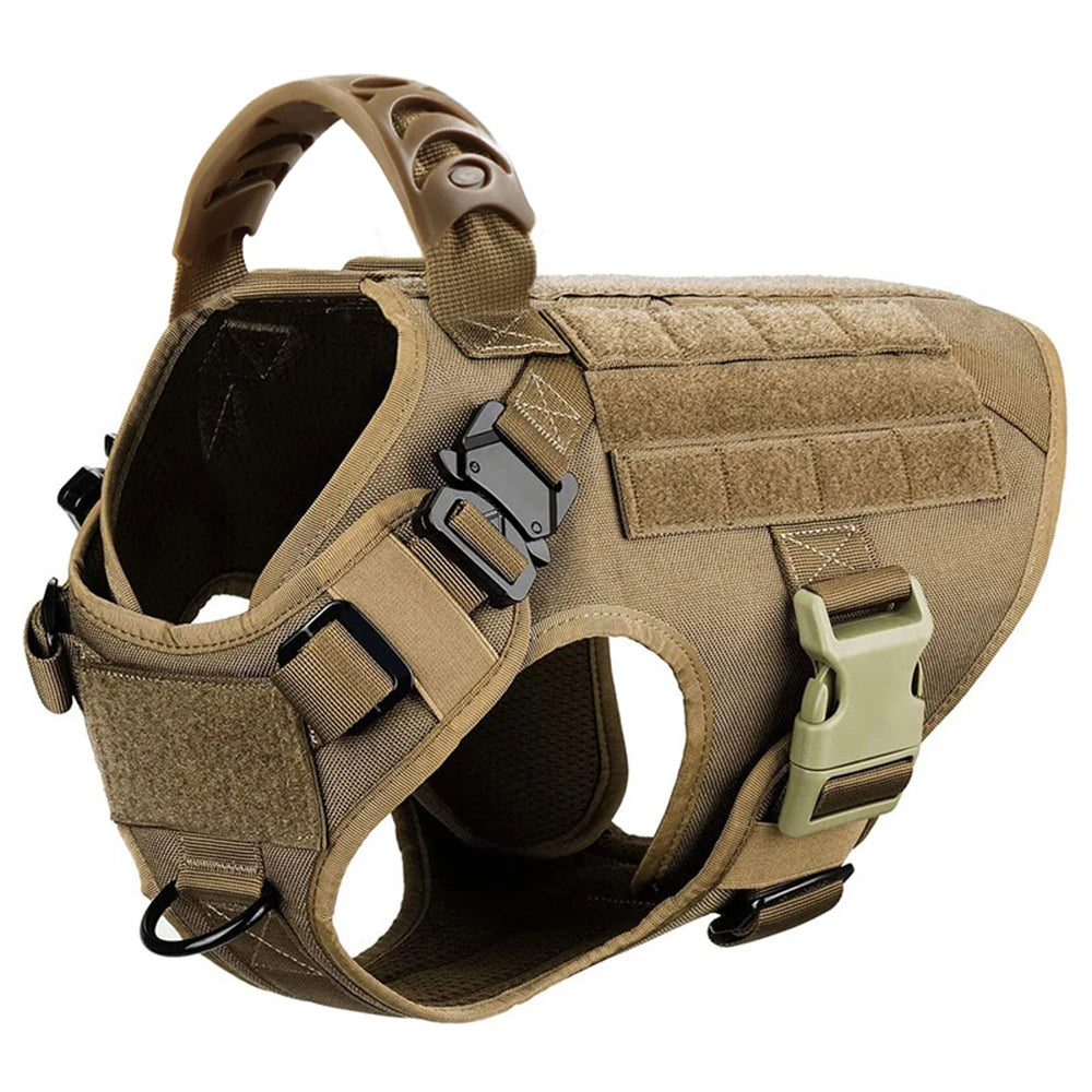 Large Dog Harness Collar Leash