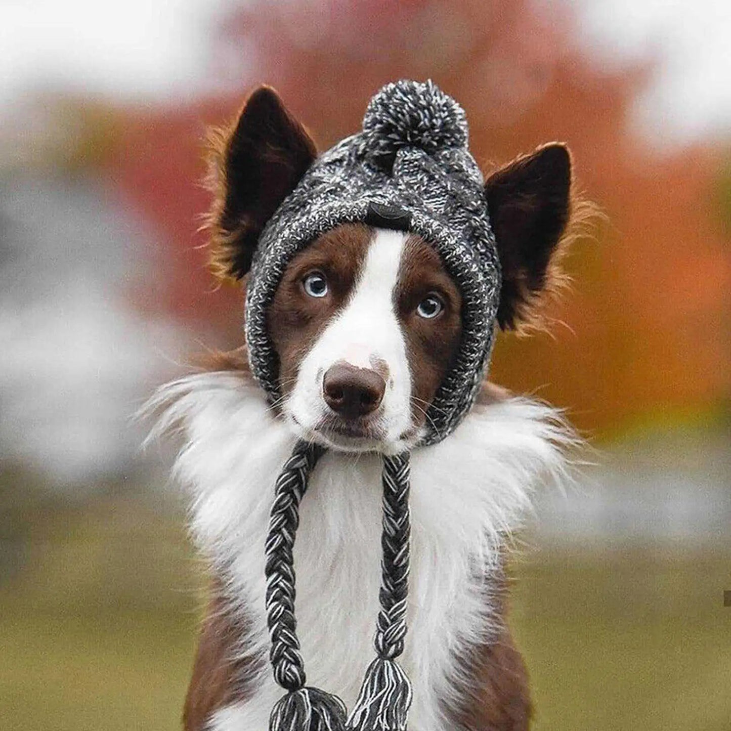 Windproof Hat