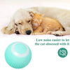 Smart Puppy Ball Toy