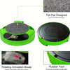 Catch Mouse Motion Cat Toy