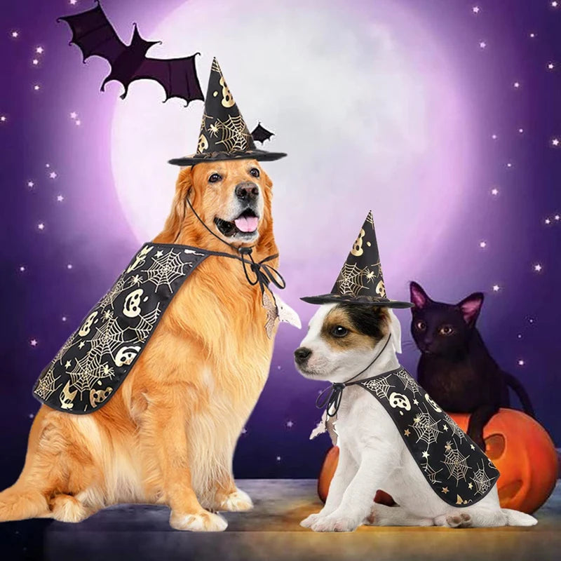 Halloween Costume, Cape And Hat Cool Outfit