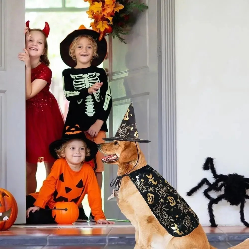 Pumpkin Halloween Costumes Cape