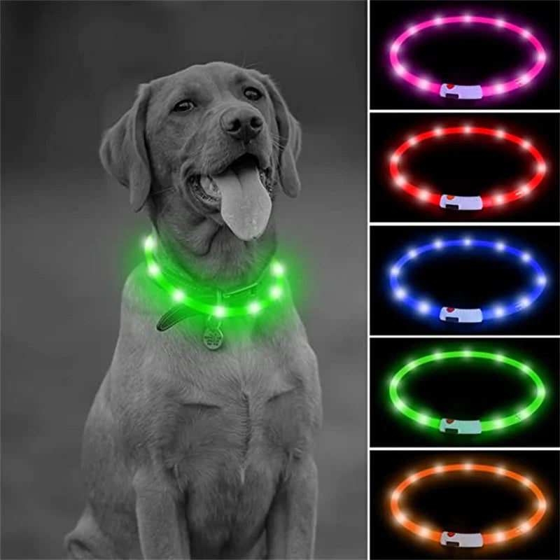 Luminous Collar