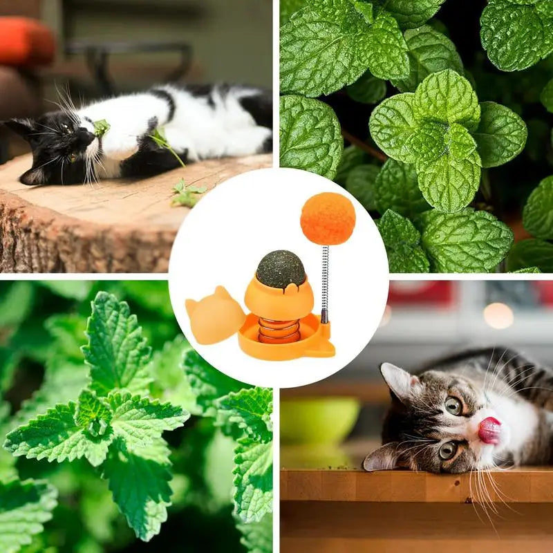 Catnip Wall Toys Rotatable Cat Licking Balls