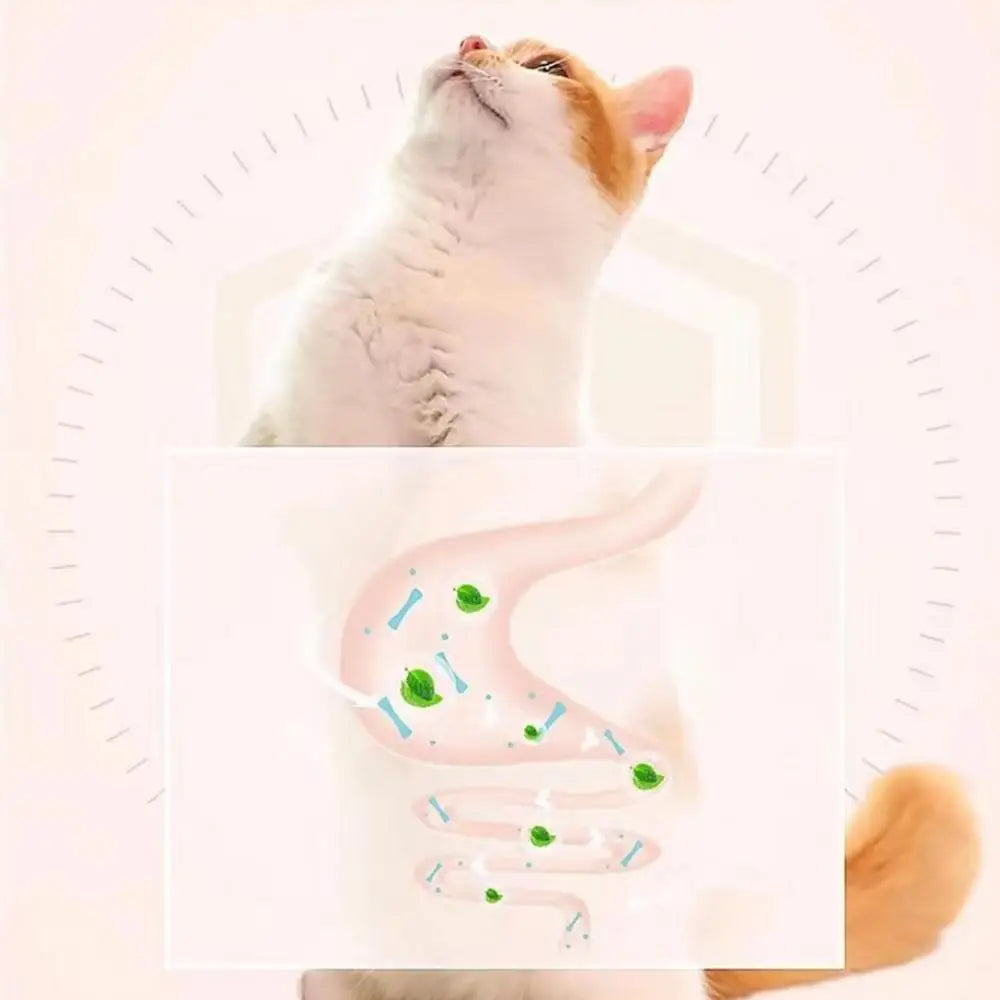 Catnip Wall Toys Rotatable Cat Licking Balls