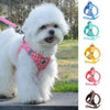 Stylish & Comfortable Dog Harness Leash