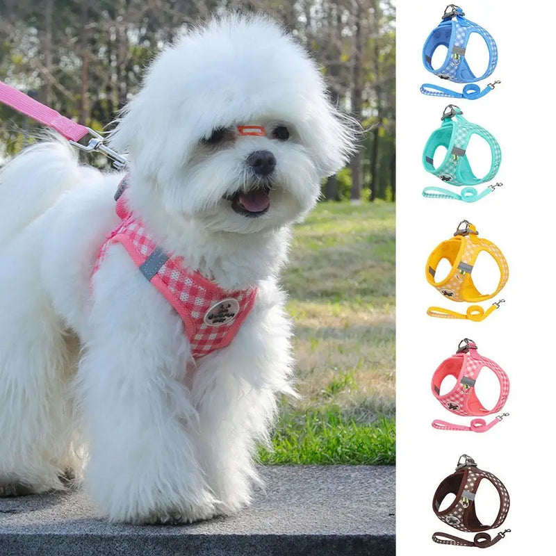 Stylish & Comfortable Dog Harness Leash