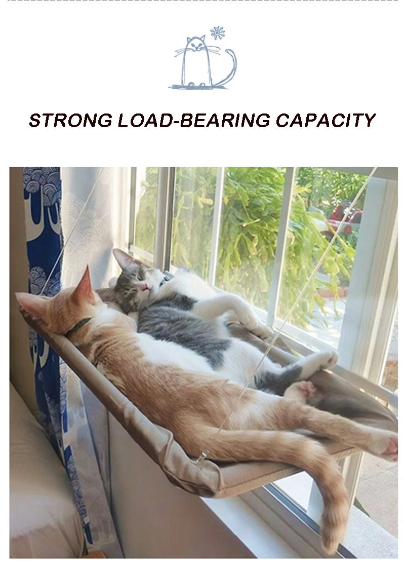 Cat Hammock