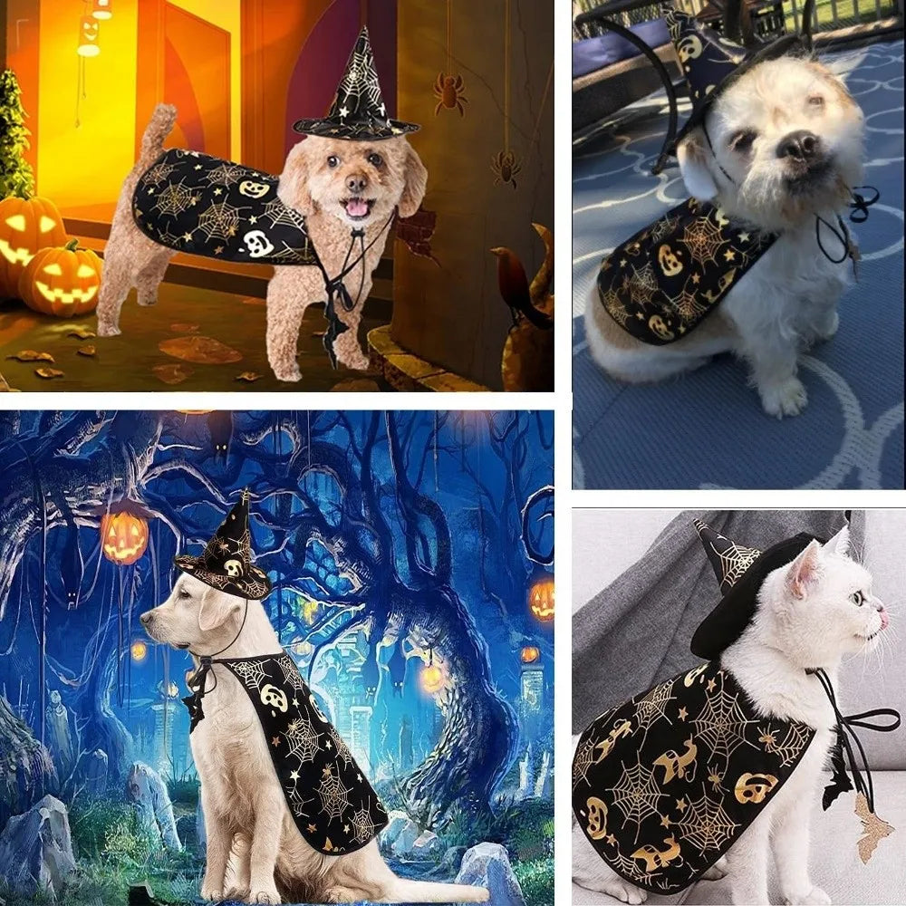 Funny Pumpkin Pet Halloween Costumes Cape
