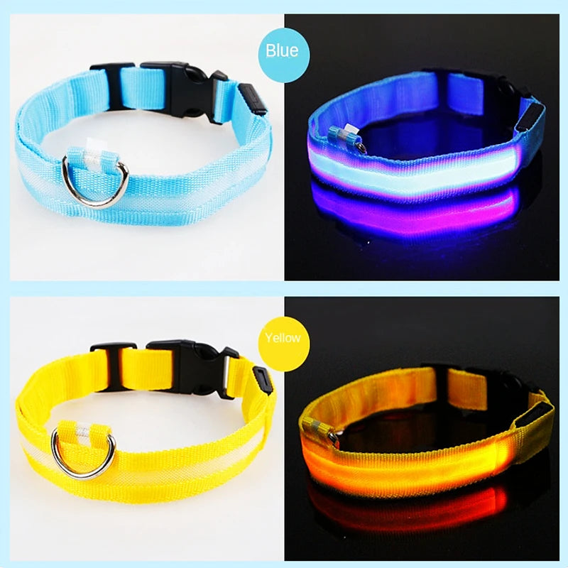 Luminous Collar