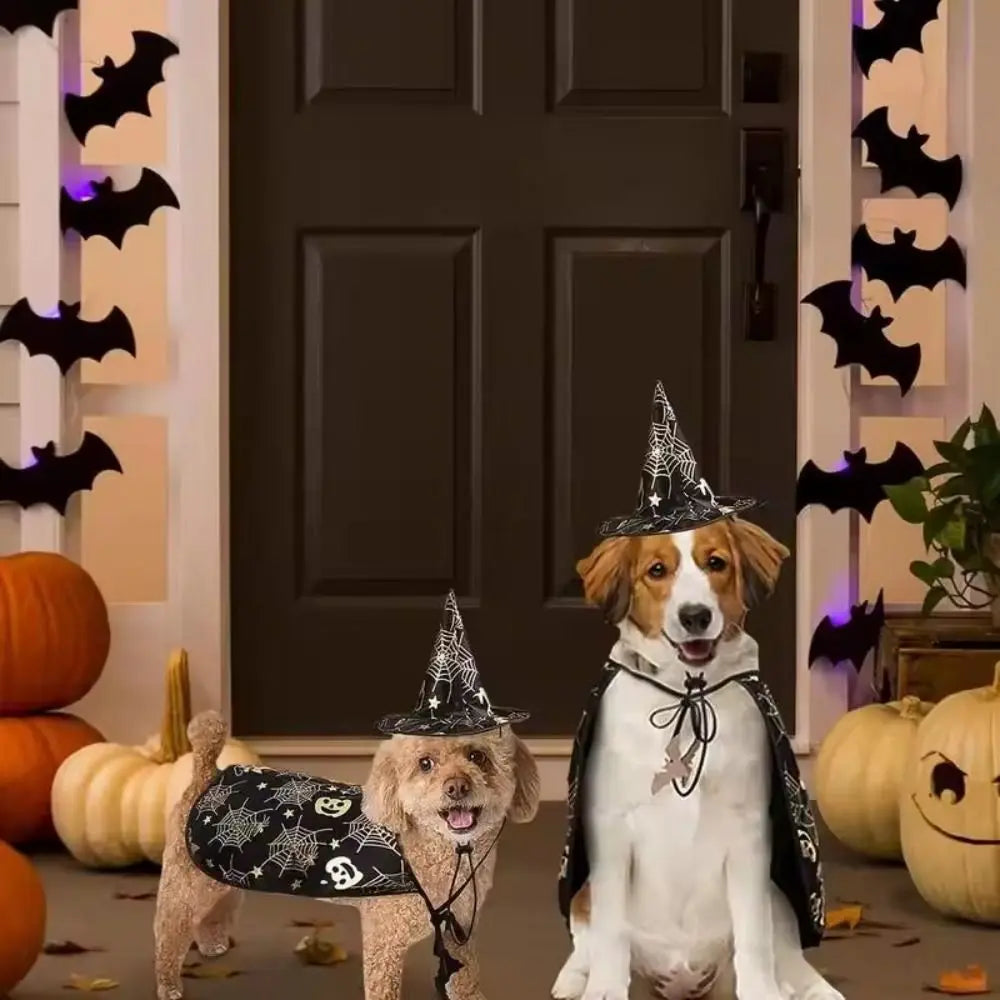 Funny Pumpkin Pet Halloween Costumes Cape