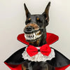 Pet Vampire Costumes