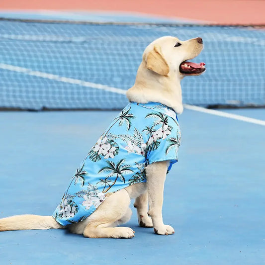 Hawaii Style