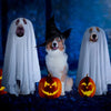 Halloween Ghost Cloak Spooky Dog Cosplay Costume