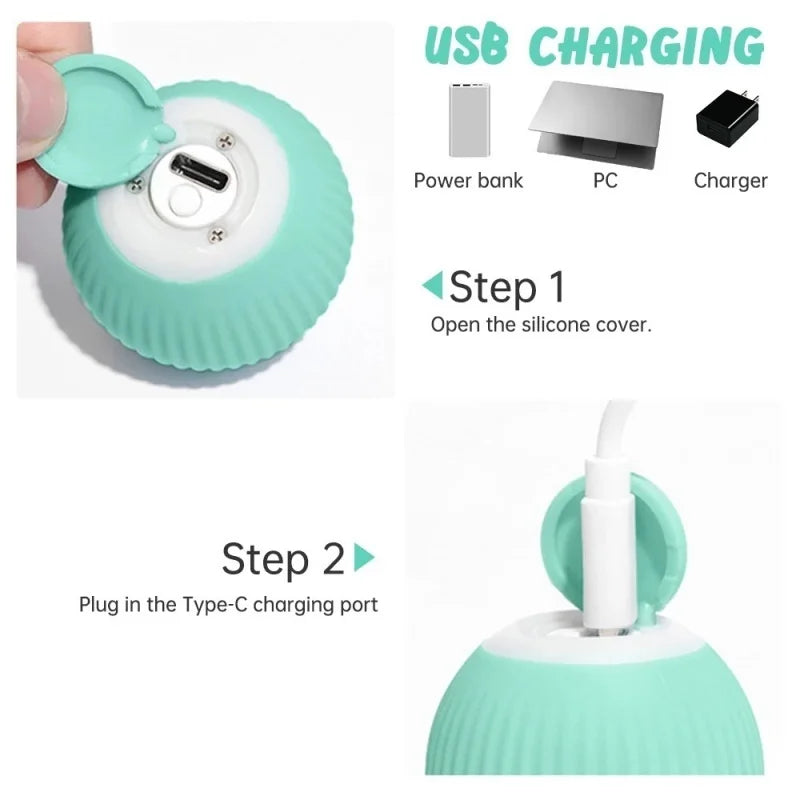 Smart Puppy Ball Toy