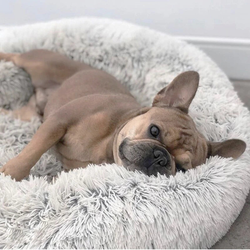 Pet Calming Donut Bed