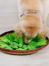 Pet Snuffle Mat f