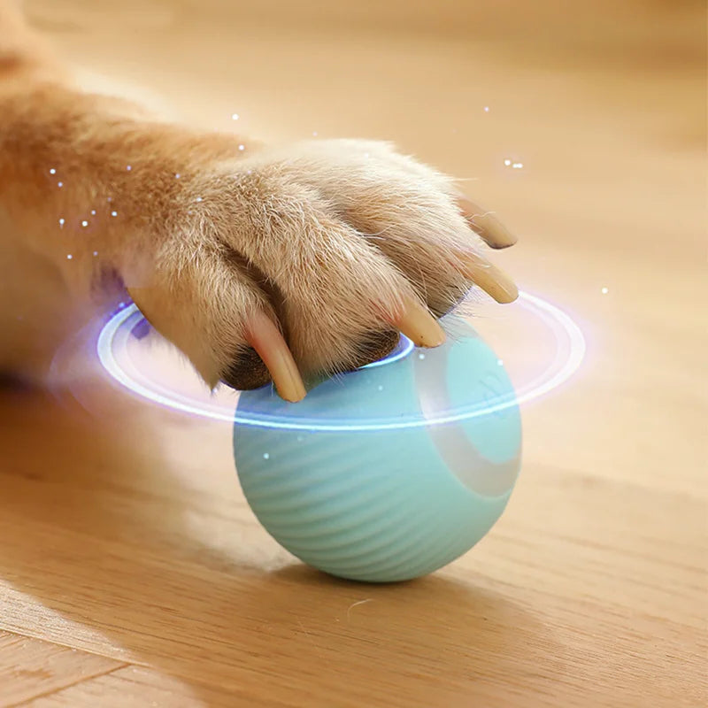Smart Puppy Ball Toy