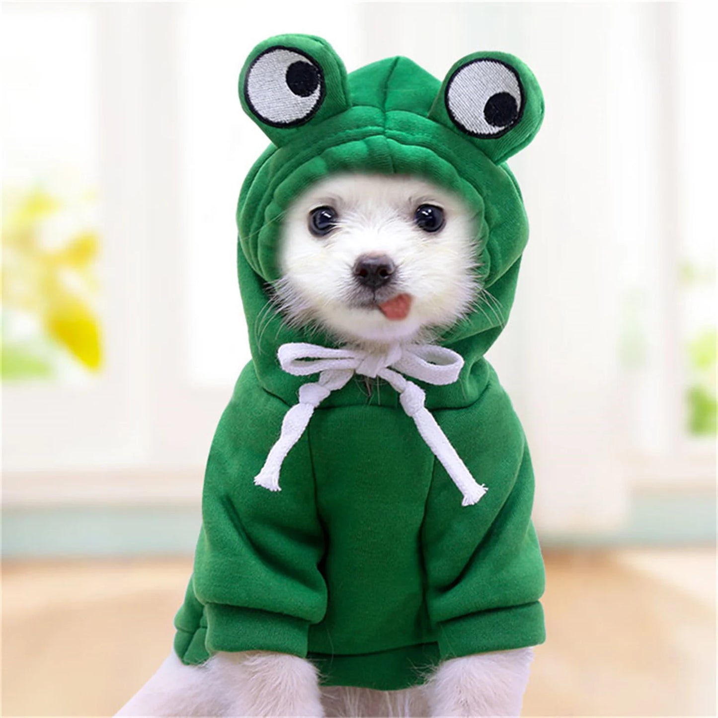 Carrot  Frog Hoodie