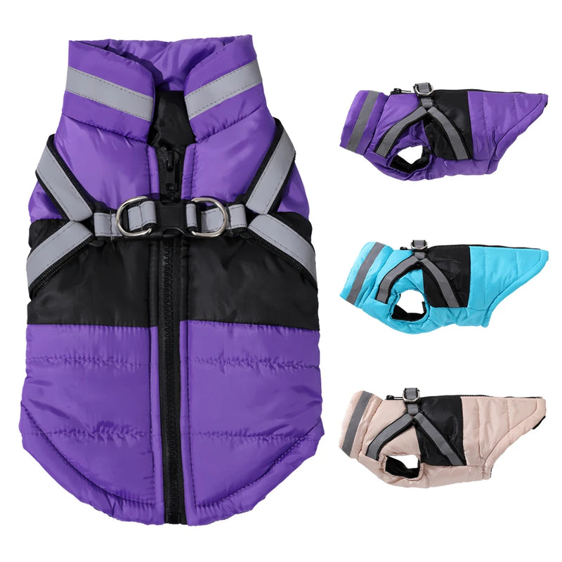 Waterproof Jacket With Harness
