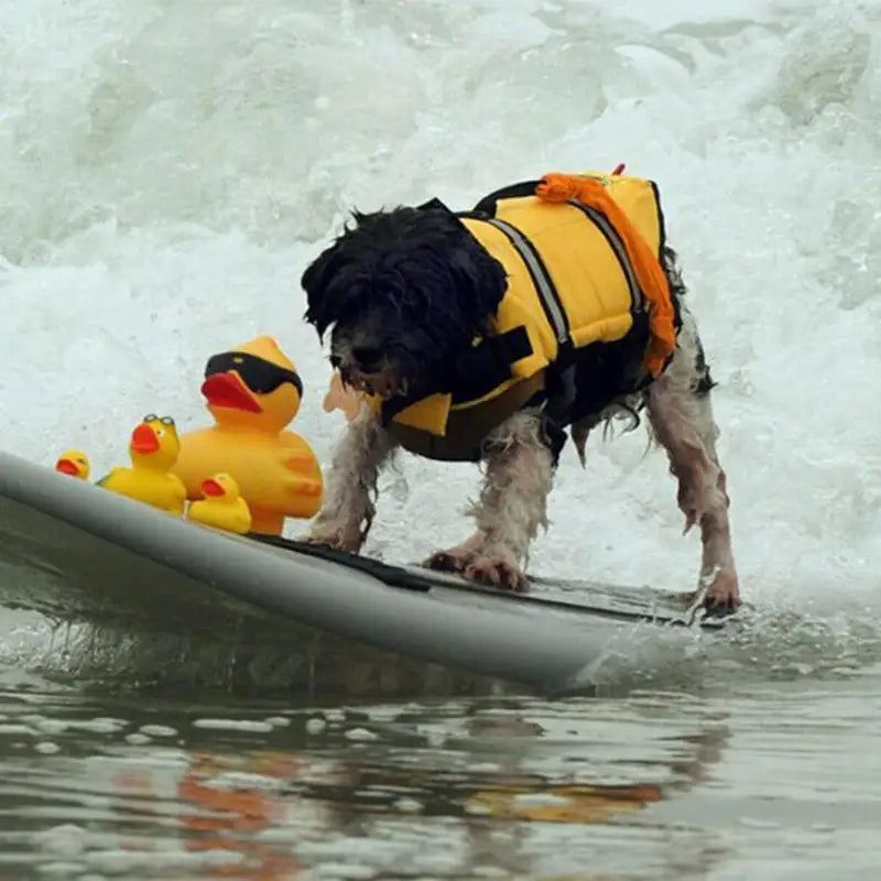 Pet Life Safety Vest