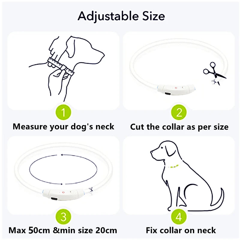 Luminous Collar