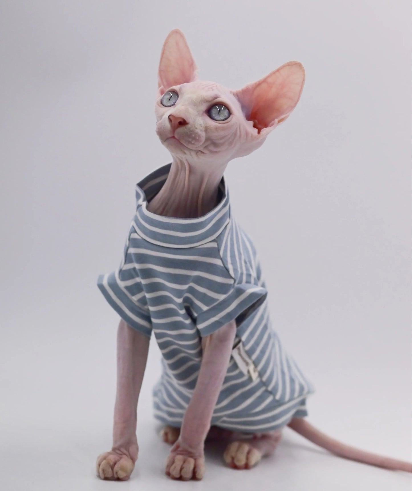 Sphynx، Summer Sleeveless Thin Vest
