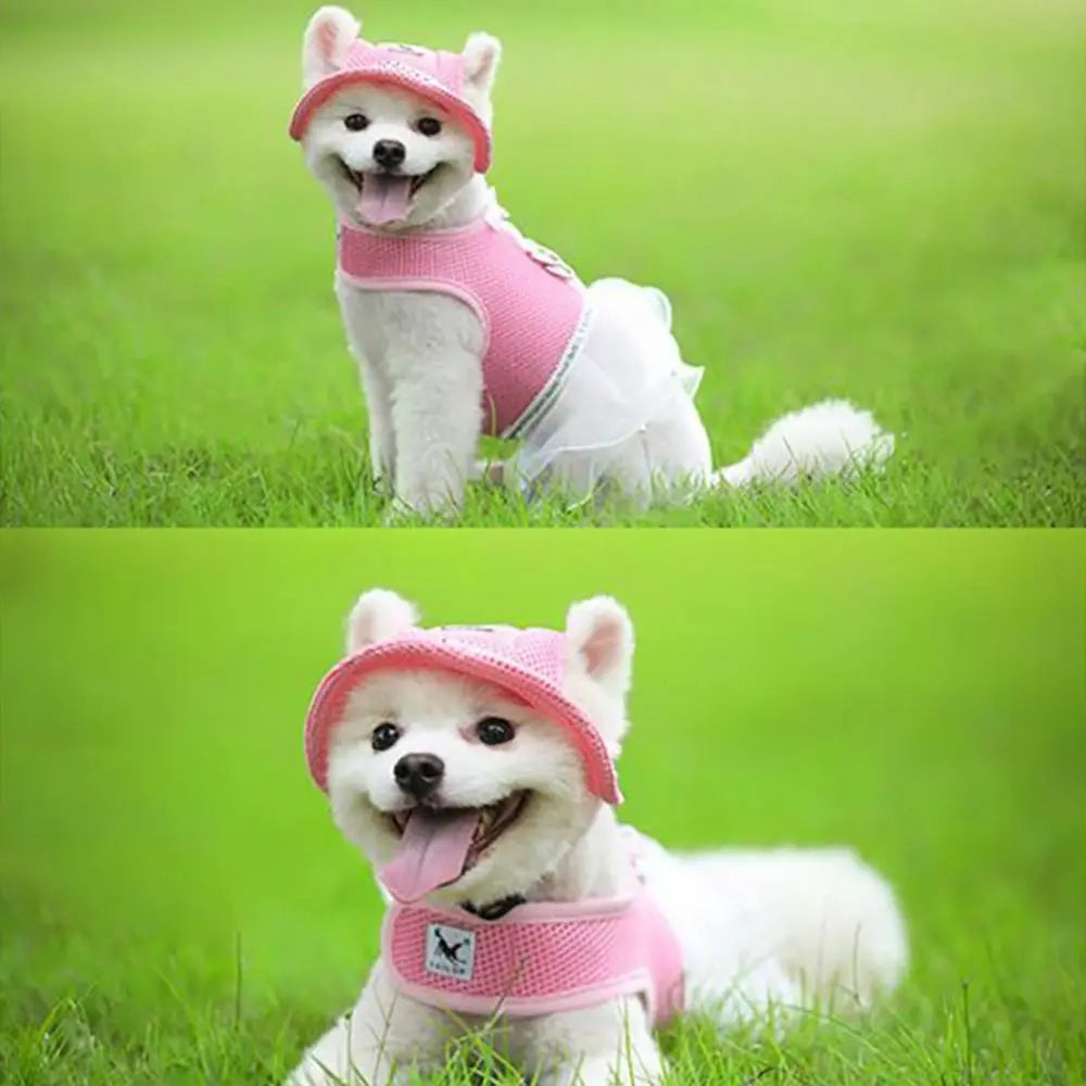 Sun Cap Cat Hat, Sun hat Dog Caps