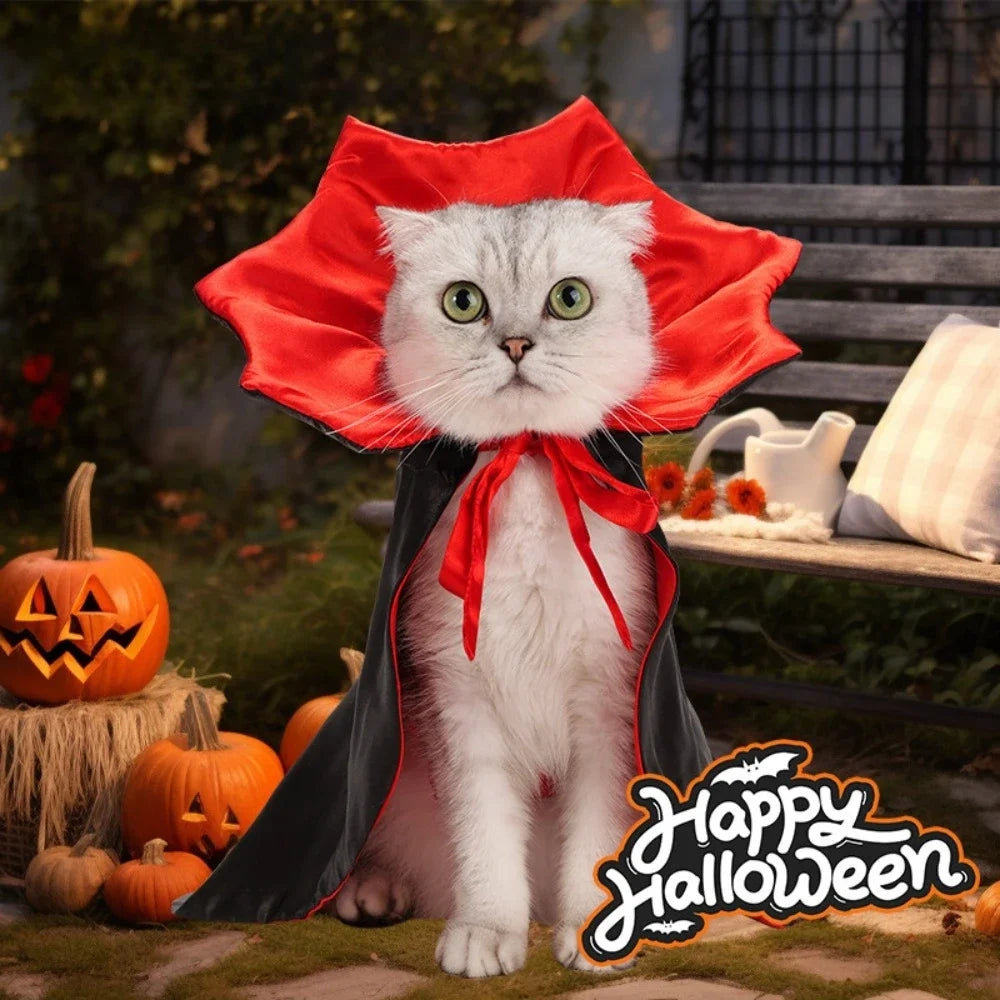 Halloween Vampire Costumes Couture
