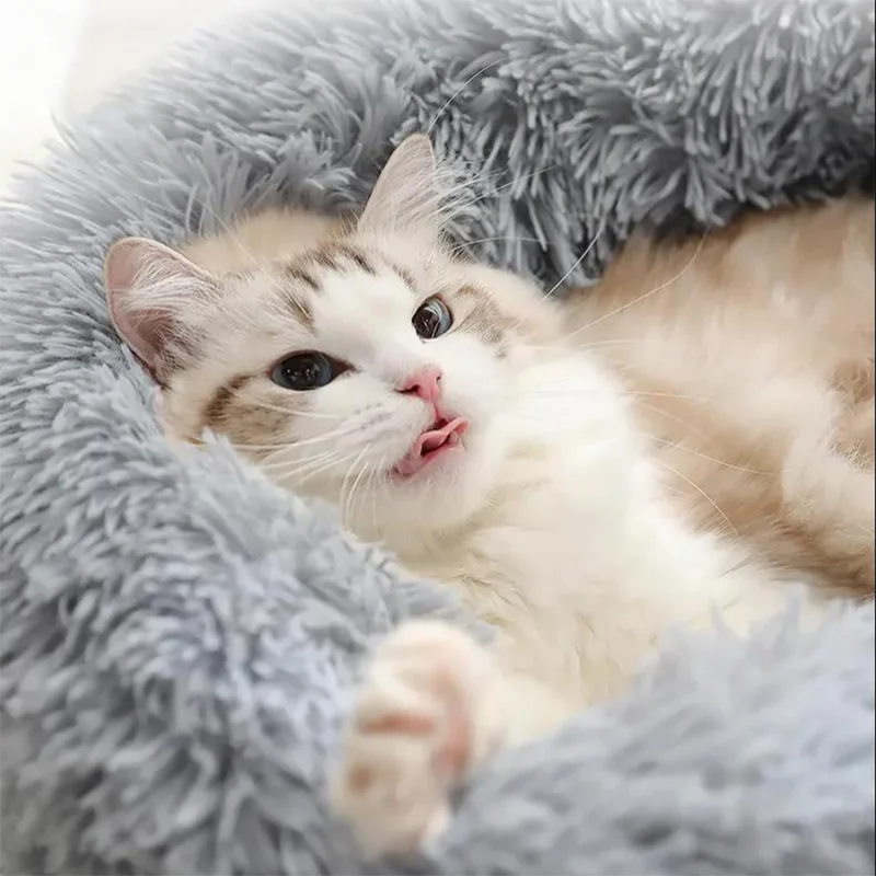 Pet Calming Donut Bed