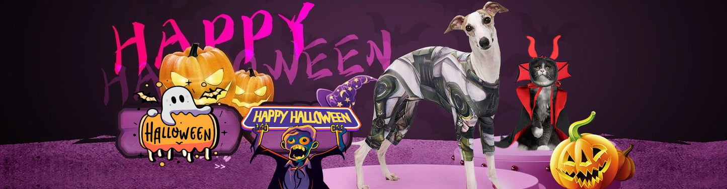 Halloween Pet Spider