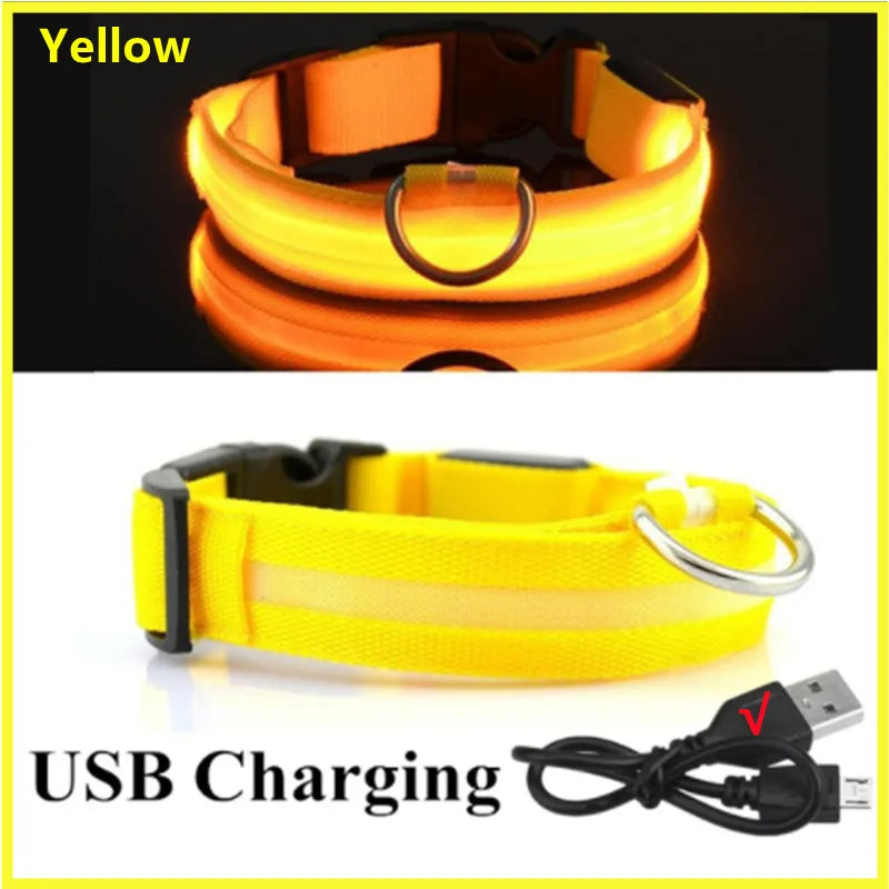 Luminous Collar