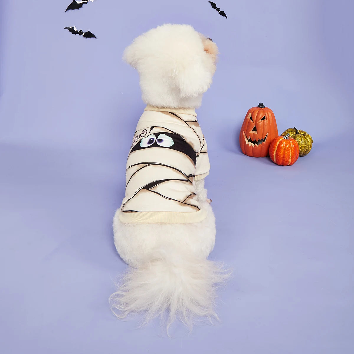 Halloween Mummy Costume