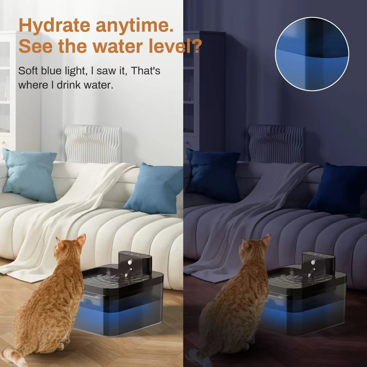 Wireless Water Fountain