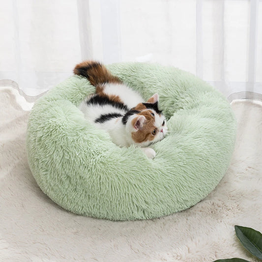 Donut Bed